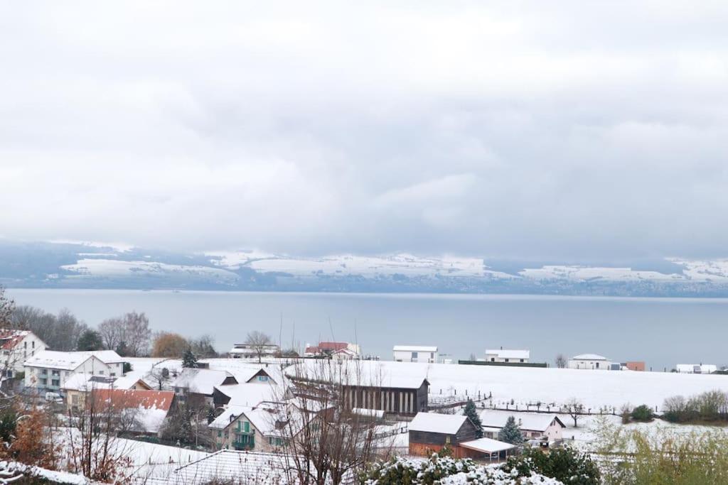 Chalet With Stunning Lake And Mountain Views Avec Une Vue A Couper Le Souffle, Une Spacieuse Terrasse Et Jardin Chatillon  Exteriör bild